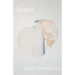 Break: poems on mental illness