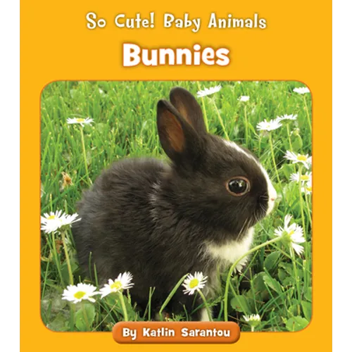 Bunnies