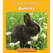 Bunnies