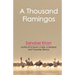 A Thousand Flamingos
