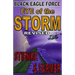 Black Eagle Force: Eye of the Storm (Revised)