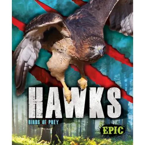 Hawks: Birds of Prey