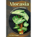 Alocasia: Plant overview and guide