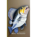 It's Time to Learn about Bass Fish