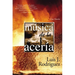 El Musica de la Aceria: Una Novela