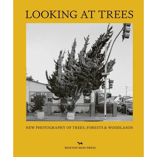 Looking at Trees: New Photography of Trees, Forests and Woodlands