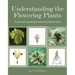Understanding the Flowering Plants: A Practical Guide for Botanical Illustrators