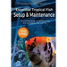 Essential Tropical Fish: Setup & Maintenance Guide