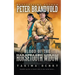 Blood of the Horsetooth Widow: A Western Fiction Classic