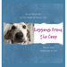 Lessons From the Coop: Rescue Dogs Reflections on life