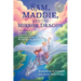 Sam, Maddie, and the Mirror Dragon: Two Inspired Teens and Their Quest to Discover Mother Earth's Secrets