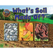 What Is Soil Made Of?