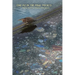 Find Me In the Feral Pockets: Poems from the Gowanus Interregnum