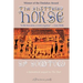 The Shattered Horse