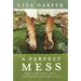 A Perfect Mess: Why You Don't Have to Worry about Being Good Enough for God