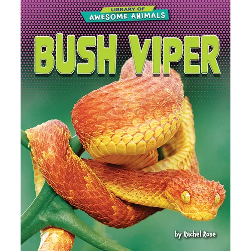 Bush Viper