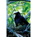 A Birder's Guide to Florida
