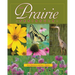 The Prairie Peninsula