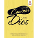 Caminar Con Dios: Libro Para Colorear De La Biblia De Las Mujeres