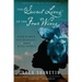 The Secret Lives of the Four Wives