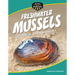 Freshwater Mussels: Legion of Super Mollusks