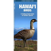 Hawai'i Birds, 2nd Ed: A Folding Pocket Guide to Familiar Species