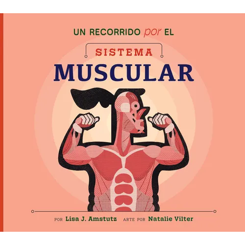 Un Recorrido Por El Sistema Muscular