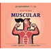Un Recorrido Por El Sistema Muscular