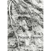 Babyn Yar: Past, Present, Future