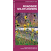 Roadside Wildflowers: An Introduction to Familiar North American Species