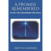 A Promise Remembered: An Our Life in Snowflake Falls Story