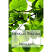 Ginkgo Biloba
