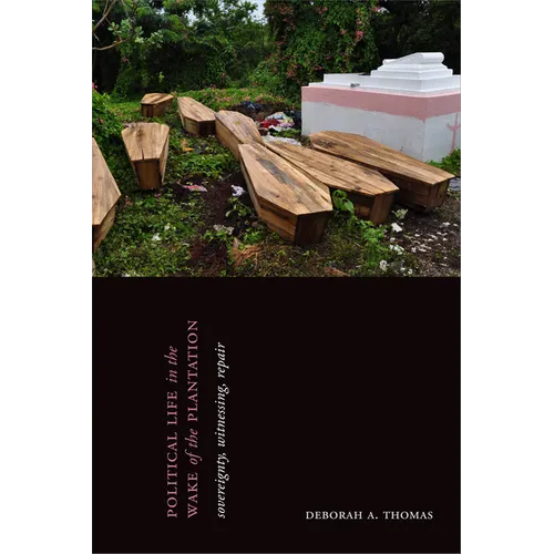Political Life in the Wake of the Plantation: Sovereignty, Witnessing, Repair