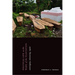 Political Life in the Wake of the Plantation: Sovereignty, Witnessing, Repair