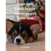 Your new Little Friend Wants you to Color Him: A Puppy to Play with Color from 4 years old