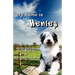 My Name Is Henley: My Life and Times as a Rescued Dog