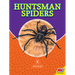 Huntsman Spiders
