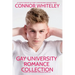 Gay University Romance Collection: 3 Sweet Gay University Romance Novellas