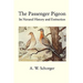 The Passenger Pigeon