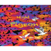Night Pigeons