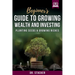 Beginner's Guide to Growing Wealth and Investing: Planting Seeds & Growing Riches