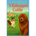 A Kidnapped Collie
