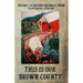 This Is Our Brown County Then 1800-1900