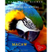 Macaw: Words of Nature