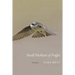 Small Mothers of Fright: Poems