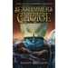 Seashimmer's Choice