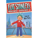 Flat Stanley's Worldwide Adventures #15: Lost in New York
