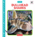 Bullhead Sharks