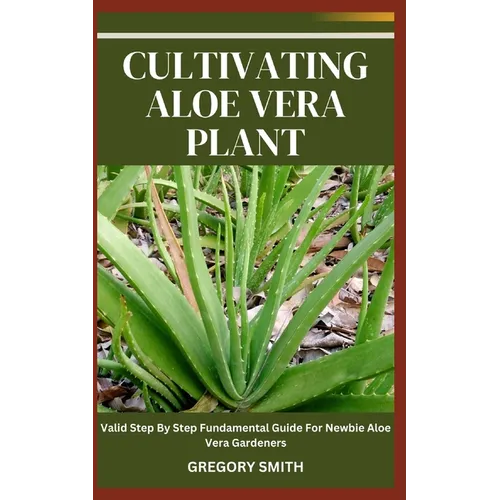 Cultivating Aloe Vera Plant: Valid Step By Step Fundamental Guide For Newbie Aloe Vera Gardeners