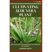 Cultivating Aloe Vera Plant: Valid Step By Step Fundamental Guide For Newbie Aloe Vera Gardeners